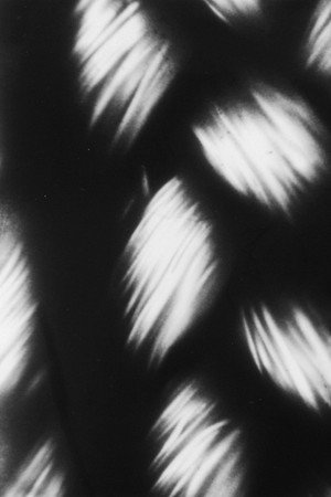 浸透画