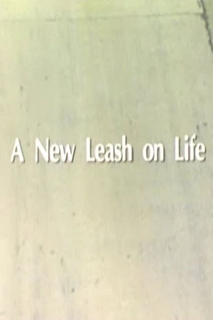 A New Leash On Life