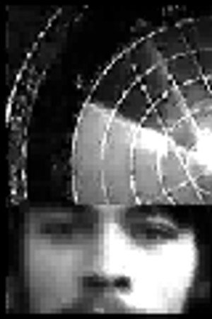 Little Movies. No. 6: On the Transient Nature of an Electronic Image