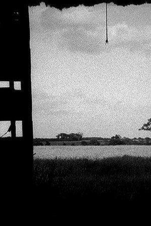 Barn