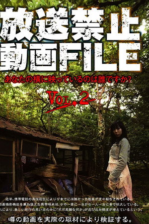放送禁止動画FILE Vol.2