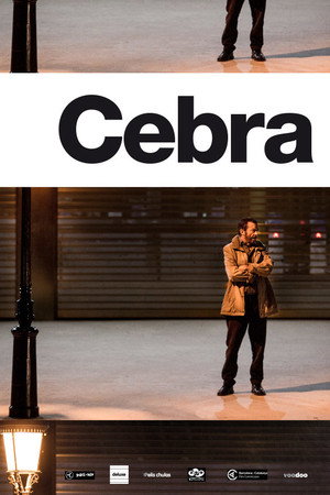 Cebra