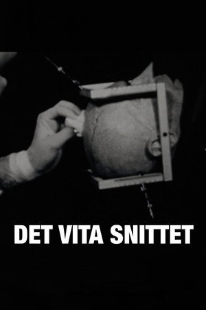 Det vita snittet