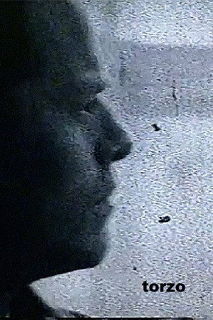 Torzo