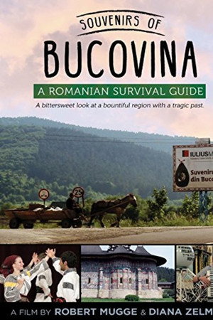 Souvenirs of Bucovina: A Romanian Survival Guide