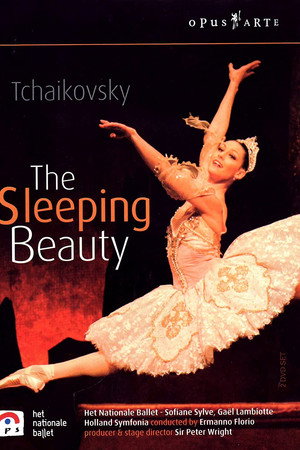 The Sleeping Beauty (Dutch National Ballet, 2003)