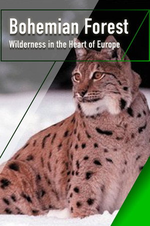 Böhmerwald - Wildnis im Herzen Europas