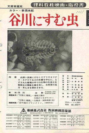 新昆虫記・谷川にすむ虫