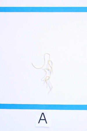 Nothing Comes from Talking (But Sound)