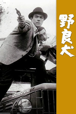 野良犬