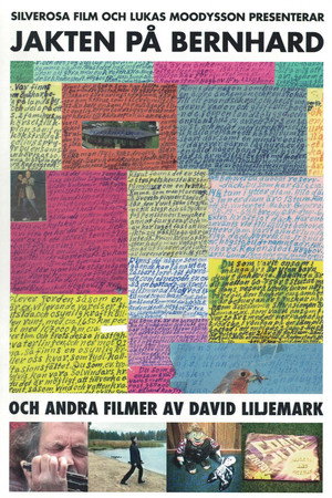 Jakten på Bernhard