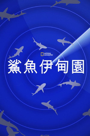 Journey to Shark Eden