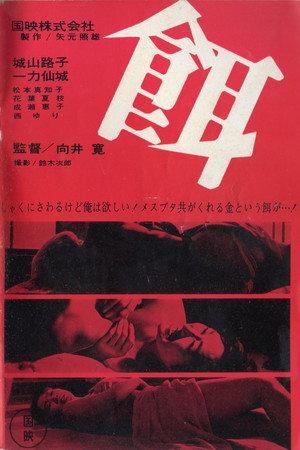 饵