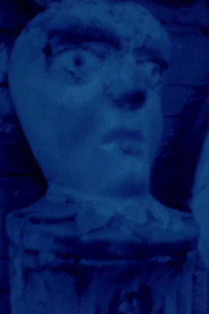 Solarizare