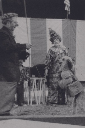 Circus