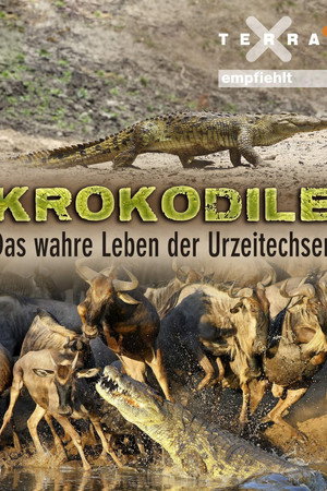 Krokodile - das wahre Leben der Urzeitechsen