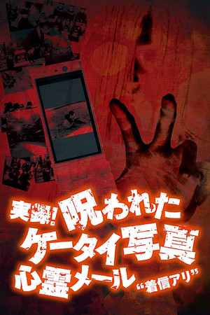 実録!呪われたケータイ写真1 心霊メール'着信アリ'