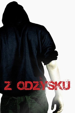 Z odzysku