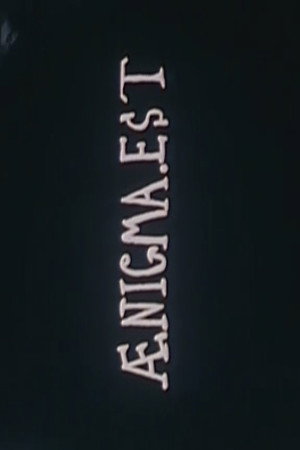 Aenigma Est