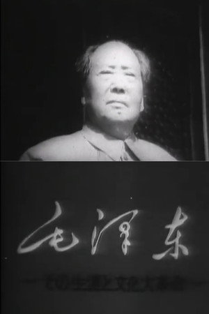 毛泽东—其生平与文化大革命