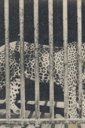 Zoo