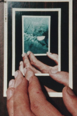 オランダ人の写真(8ミリ版)