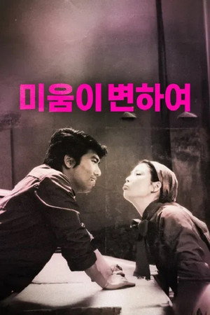 미