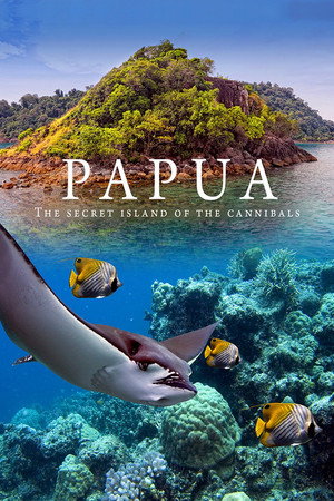 Papua 3D