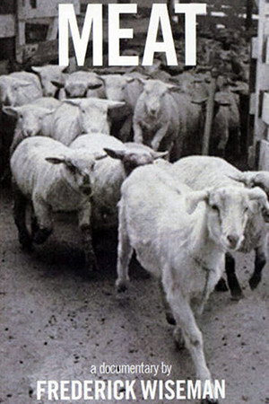 怀斯曼:肉
