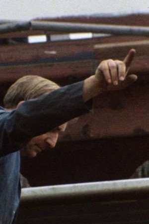 Hands