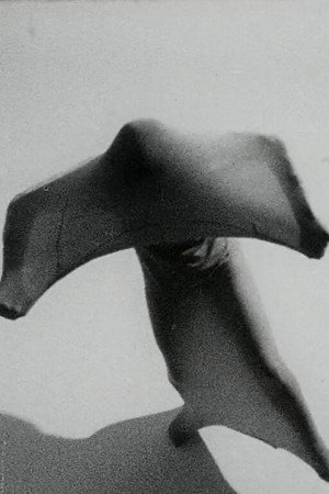 Ana Kamien
