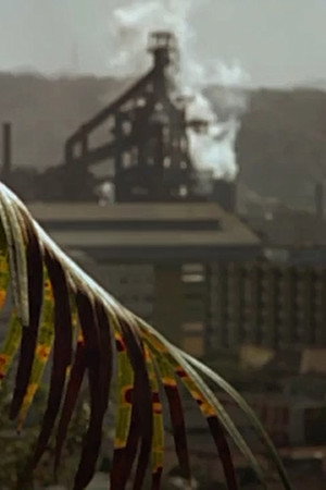 Steel Town