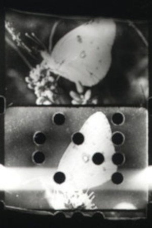 Farfallio
