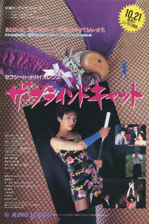 盲猫