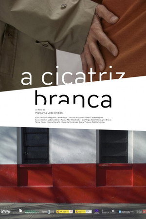 Apuntamentos para un filme