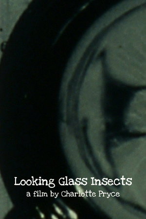 Looking Glass Insects