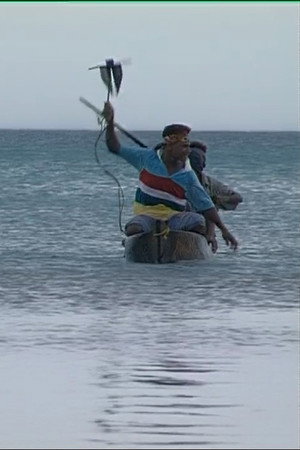 Tuo Dolphins