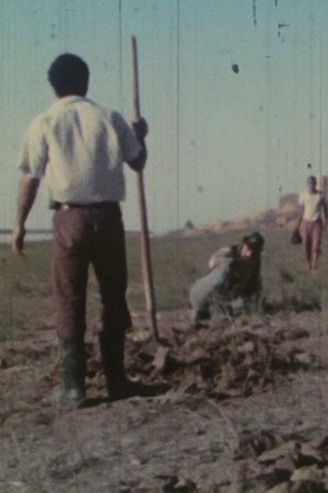 رود زهر