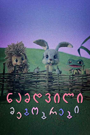 ნამდვილი მეგობრები