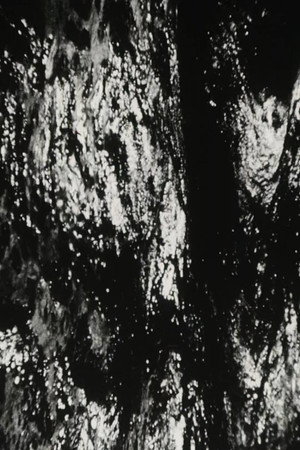Bitemporal Vision: The Sea