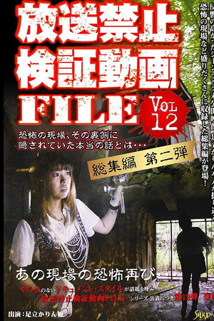 放送禁止動画FILE Vol.12