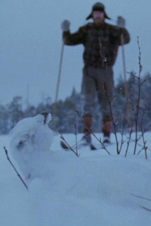 Tapiola