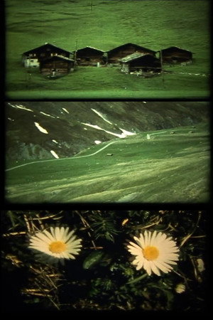 Spaziergänge
