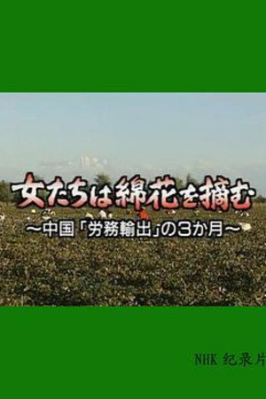 采棉女：中国劳务输出的三个月
