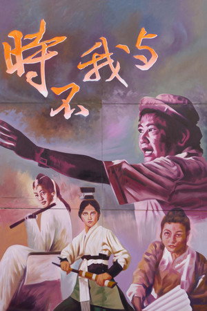 时不我与:从台湾看胡金铨