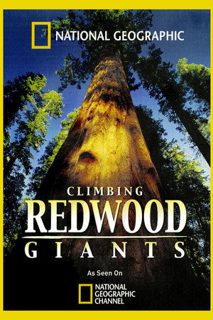 Climbing Redwood Giants