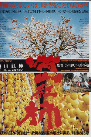 满山红柿