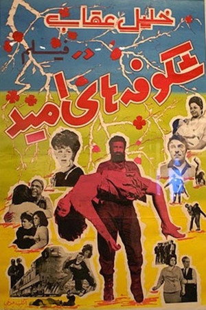 شکوفههای امید