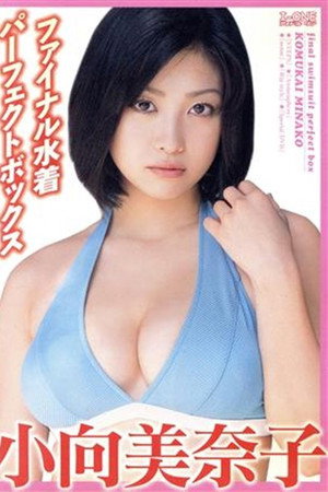 小向美奈子 ファイナル水着パーフェクトBOX