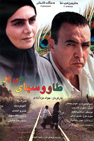 طاووسهای بی پر